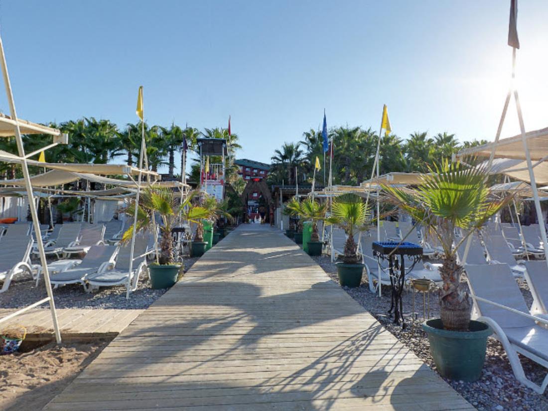 Beach Bar - Bars - Food & Beverage - Delphin Deluxe