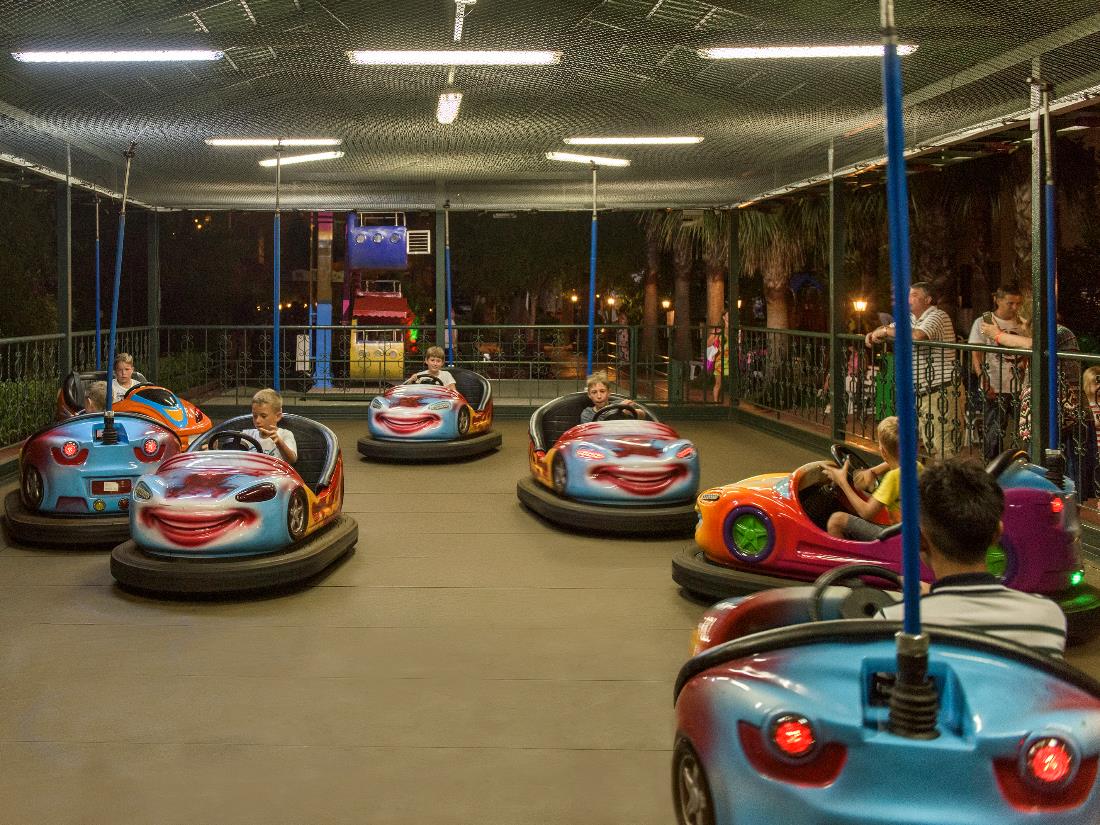 Amusement Park / Game Room / Cinema - Activities & Entertainment - Delphin Platinum