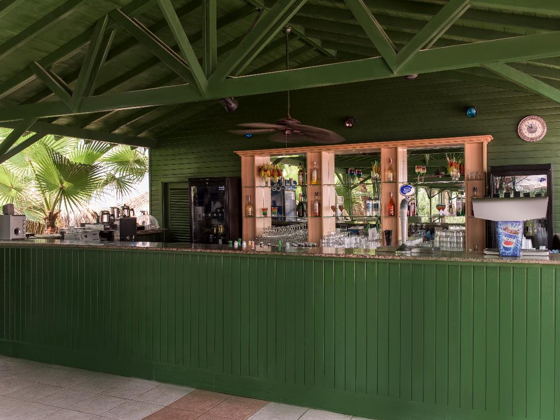Island Bar - Bars - Food & Beverage - Delphin Botanik