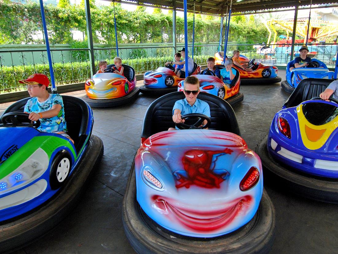 Amusement Park / Game Room  / Cinema - Activities & Entertainment - Delphin Botanik